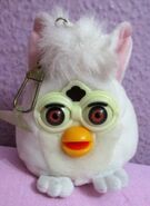 243304933 1.jpg (36 KB)