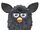 Black Magic Furby