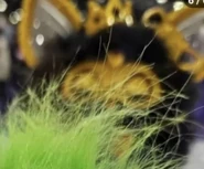 Gold Glam in black.jpg (32 KB)