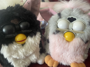 Fresh Leopard next to a Skunk Furby