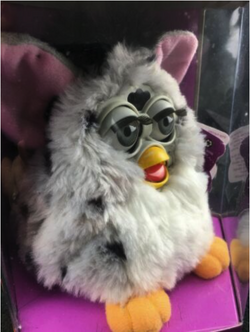 Hi store c furby