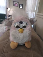Pink Furdy.jpeg (3.53 MB) A pink Coobie