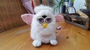 Snowball Furby with purple eyes and black eyelashes