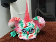 Front view