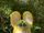 Beebo (Parody Fake)