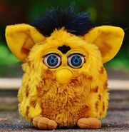 A Lizard Furby with blue eyes