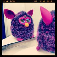 "Looking good, Furb. #selfie" from Instagram