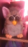 A Midnight Wolf Furby with its eyes closed