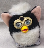 Fake skunk.jpg (178 KB)