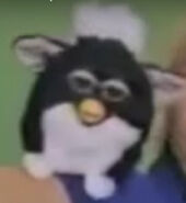 Prototype Skunk Furby with white eyelids. Seen in the 30 second commercial