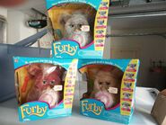 A Dutch Emoto-Tronic Furby with two English ones