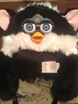 Skunk hat