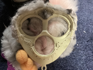 The faceplate some Gen 1 1998 Furby’s made by Jetta use