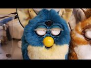 Example of Noisy Gears on a JT Dragon Furby
