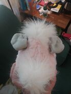 20200904 122011.jpg (3.78 MB) The back of the pink Coobie