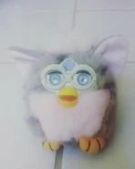 Fake buddy thing.jpg (12 KB)