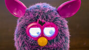 FurbyCrazy