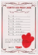 Japanese Pedigree Certificate Scan