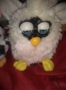 White and pink Oogle