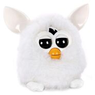 An actual photo of a Yeti Furby