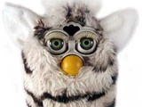 Zebra Furby