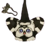 Alternate Stock Photo, where its inner ears are black instead of white