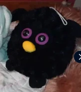 Derpy Furby fake.jpg (183 KB)