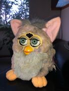 A sun-bleached Wolf Furby