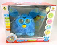 a Pixy with the top part of its beak loose