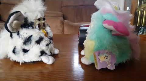 Dalmatian Furby & Spring Furby Conversation