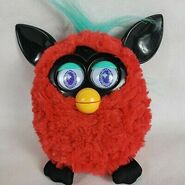 Black Cherry Furby with a sweet personality