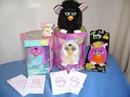 An LTD Spring Furby (left) next to various other Furbys