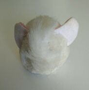 Mane loobie.jpg (55 KB)