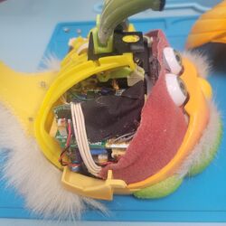 Shelby | Official Furby Wiki | Fandom Shelby | Official Furby Wiki | Fandom