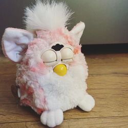 Coral furby baby shop
