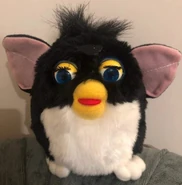 Fake skunk blue eyes.jpg (149 KB)