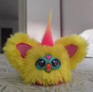 Front view