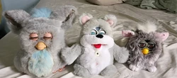 Koby the Interactive Bear (Furby Fake) | Official Furby Wiki | Fandom
