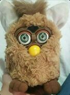 A Labrador Furby with green eyes