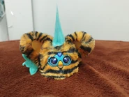 Front view