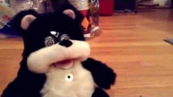 Koby the Interactive Bear (Furby Fake) | Official Furby Wiki | Fandom