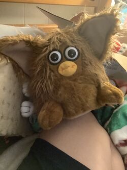 Kuddle Me Toys Plush (Furby Fake), Official Furby Wiki
