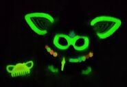 The Aurora Furbealis and its accesories glowing in the dark