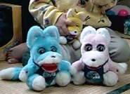 an old photo of the three foxes in which a child is holding Mini