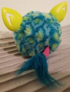 The back of a Peacock Furbling (photo by @moddad on Tumblr)