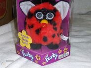 Fresh Lady Bug (no changes)