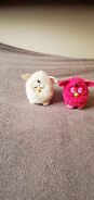 A Yeti Furby with a Pink Puff Furby.
