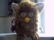 Puppy Dog Furby w/Silver eyes