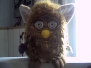 Puppy Dog Furby w/Silver eyes