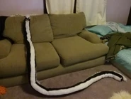 damaramango's 10-foot long furby